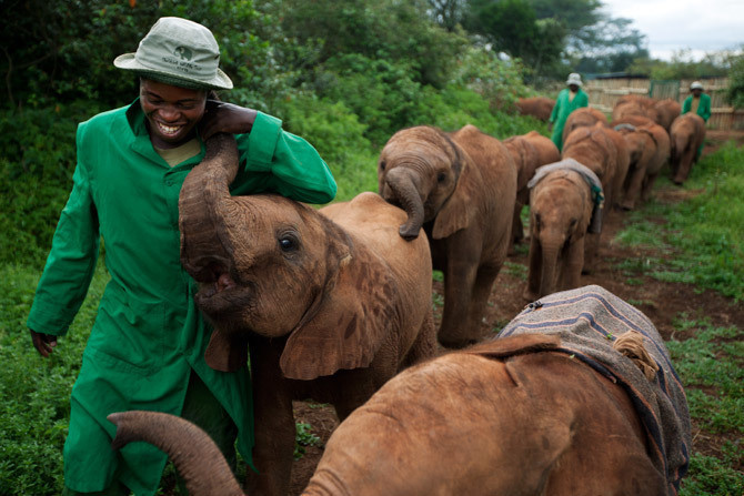 Much love to these animals and staff at this elephant orphanage in Nairobi.