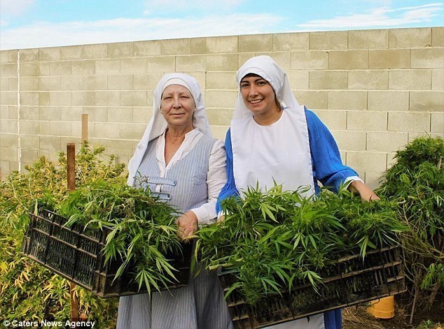 Sister Kate and apprentice Sister Darcy run a small cannabis operation in Merced, California. They aren't actually nuns, according to The Daily Beast, but they have a mission to help patients find relief from pain. Their products, however, have little to no THC which means that patients do not get high after using it.