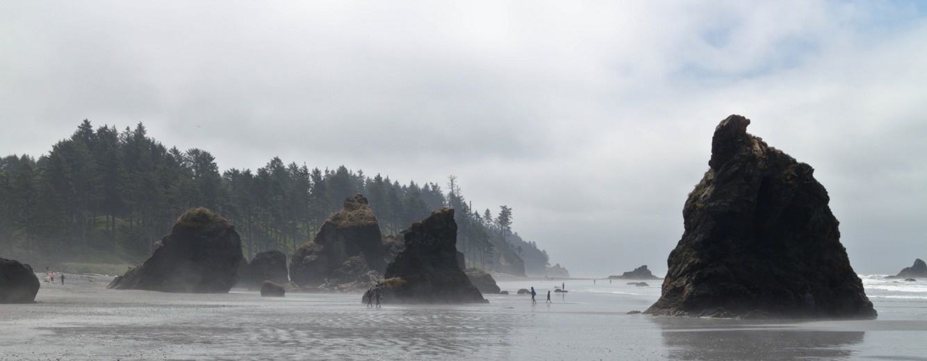 The rugged shoreline of the Ruby Beach at Olympic National Park, Washington, is a popular spot to explore.