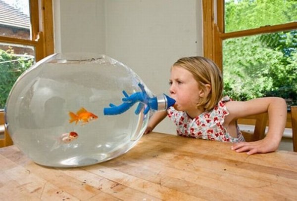 wtf breathe into the fish orb child