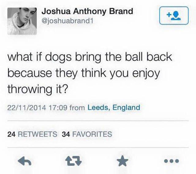xxxtentacion sas tweets - Joshua Anthony Brand what if dogs bring the ball back because they think you enjoy throwing it? 22112014 from Leeds, England 24 34 Favorites