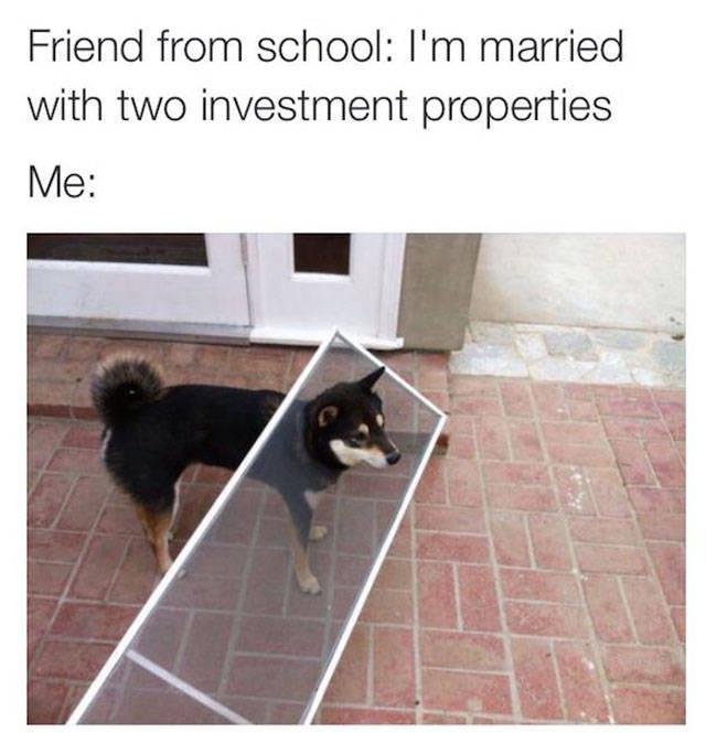 everyone getting married dog meme - Friend from school I'm married with two investment properties Me
