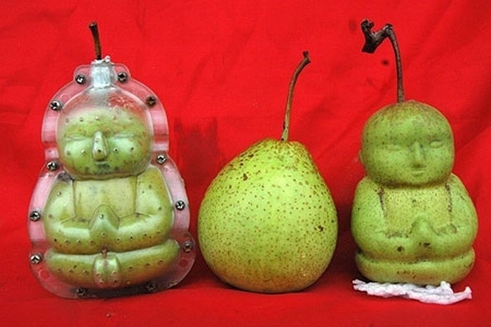 Special molds that turn pears into a Buddha shape.