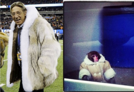 20 Examples Of 'Who Wore It Better?' That'll Have You Guessing