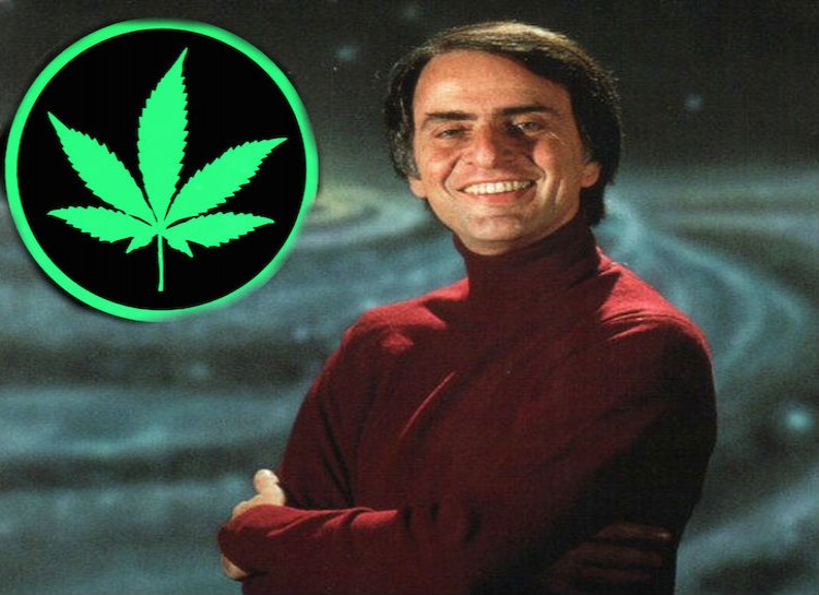 Carl Sagan: Marijuana. Pioneering astrophysicist Carl Sagan openly discussed his smoking habits, and made cases for the medical legalization of the drug. He once wrote an essay called Marijuana Reconsidered, where he talked about the benefits of the drug.