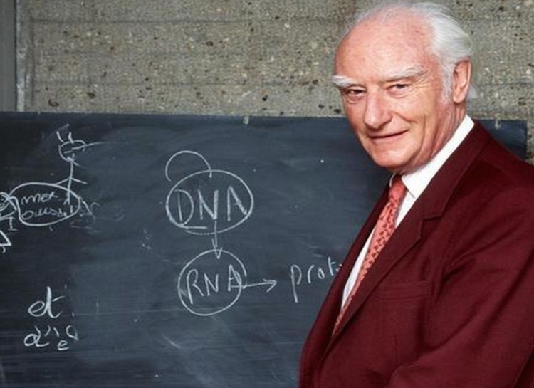 Francis Crick: LSD. Ever wondered whether acid played a role in the discovered of the double helix? Crick, while working with Watson and Franklin on their DNA structure experiments, took LSD.