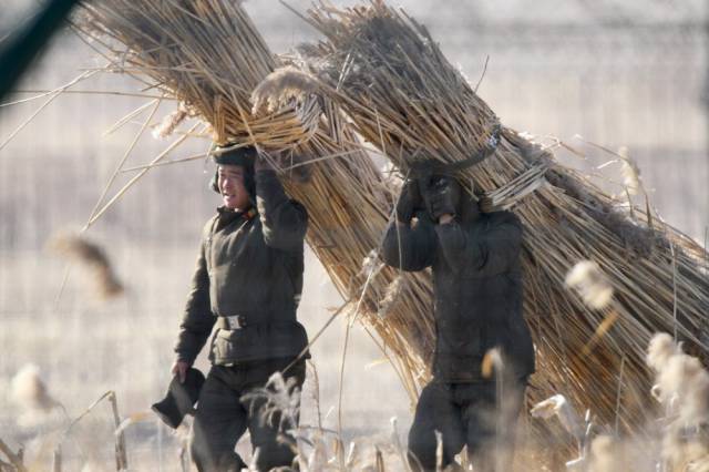 A Glimpse Into A Life Of North Koreans