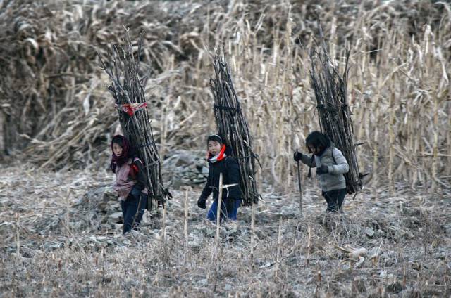 A Glimpse Into A Life Of North Koreans