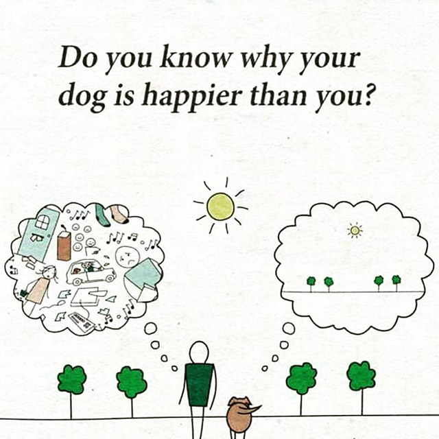 mindful mindfulness - Do you know why your dog is happier than you? Oooo