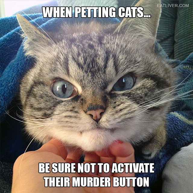 attacked by cat meme - Eatliver.Com When Petting Cats. Be Sure Not To Activate Their Murder Button