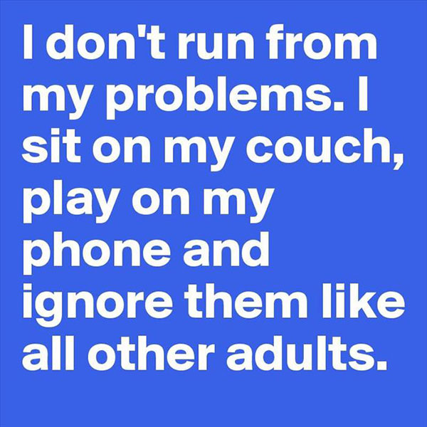 princeton junction - I don't run from my problems. I sit on my couch, play on my phone and ignore them all other adults.