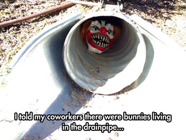 wtf killer clown jokes - Susan I told my coworkers there were bunnies living in the drainpipe.co