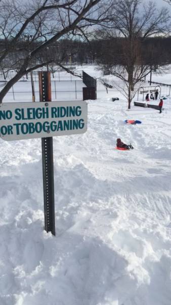 snow - No Sleigh Riding Or Tobogganing