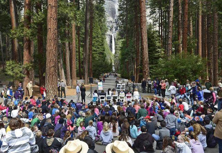 What hiking Yosemite National Park might look like if you get there on a crowded day.