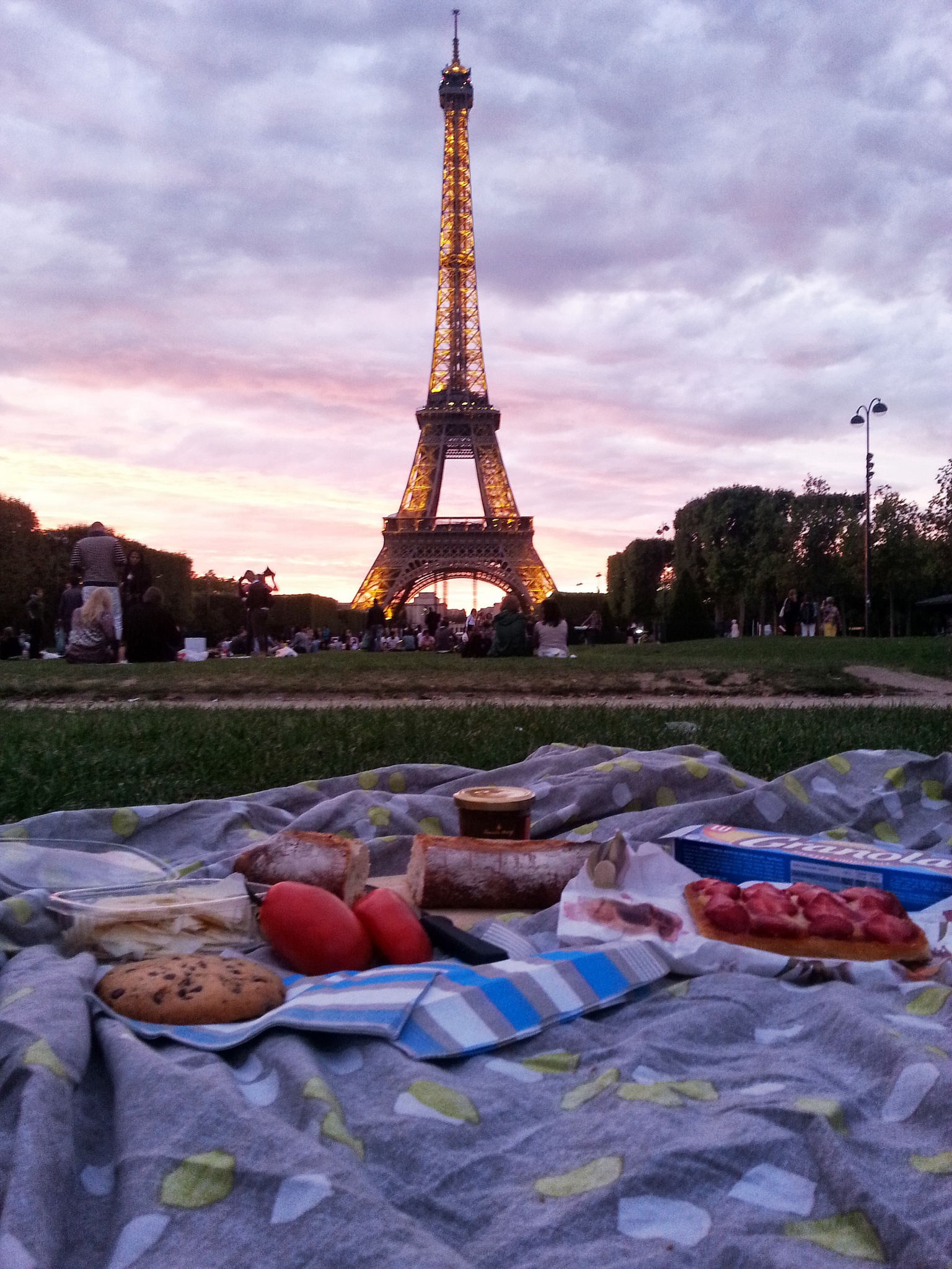 What you expect a romantic picnic in front of the Eiffel Tower looks like.