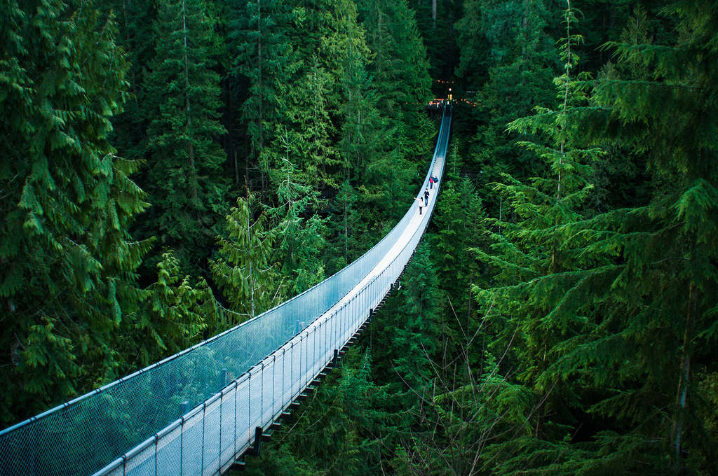 What you expect walking across the Capilano Suspension Bridge in Vancouver would be like.