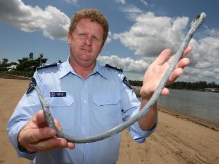 A crew that was shark fishing off the back of a smaller tanker ship was unnerved when they discovered a large steel alloy fishing hook had been completely bent straight and the bait missing. They were shocked that anything in the water would have the power to do that to such a strong hook.