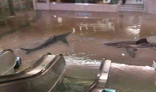 Collapsed shark tank in Kuwait.
Probably the sketchiest photo of the bunch. Fortunately, this never really happened. This is a photoshopped image of Union Station in Toronto.