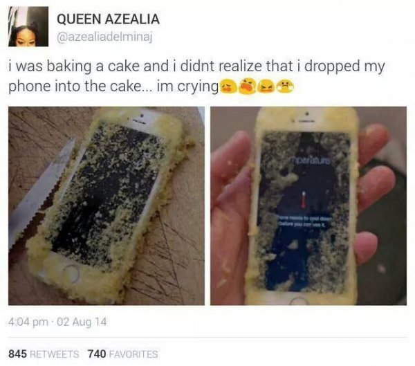 14 Times Humans Just Weren't Meant to Have Nice Things