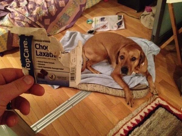 you think you are having a bad day - Choc Laxative TopCare