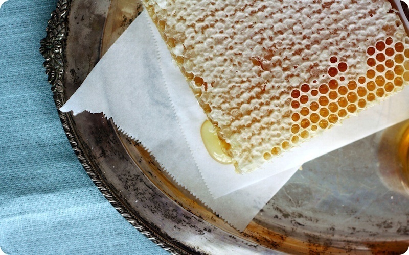 Honey is the only food that will never rot. It can crystallize, but if kept in perfect conditions it can last for literally thousands of years.