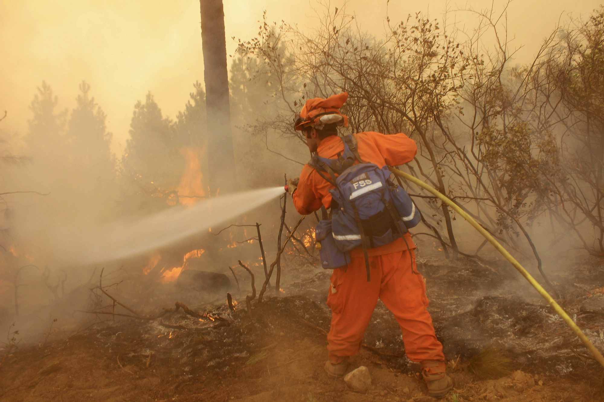 California uses prison inmates to fight forest fires.