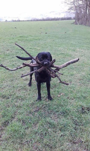 assistant branch manager