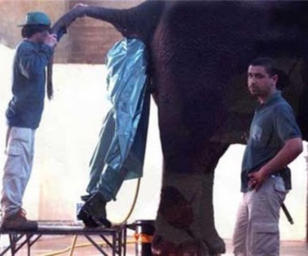 21 Jobs That Are Worse Than Any Other Job