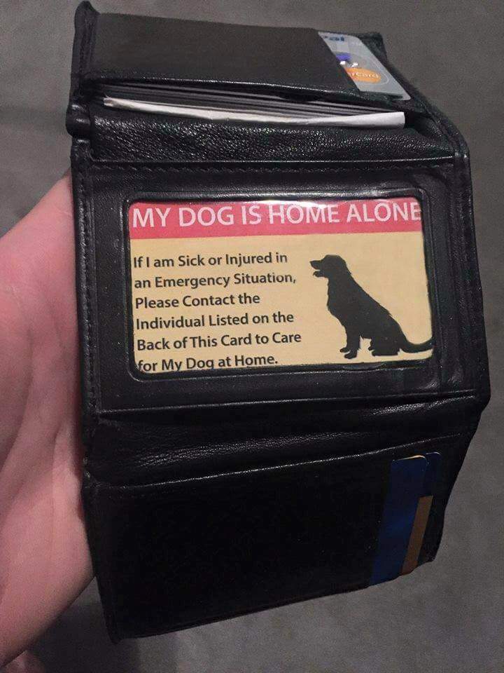 Something for all dog owners to consider