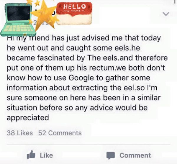 wtf web page - Hello Hl my friend has just advised me that today he went out and caught some eels.he became fascinated by The eels.and therefore put one of them up his rectum.we both don't know how to use Google to gather some information about extracting