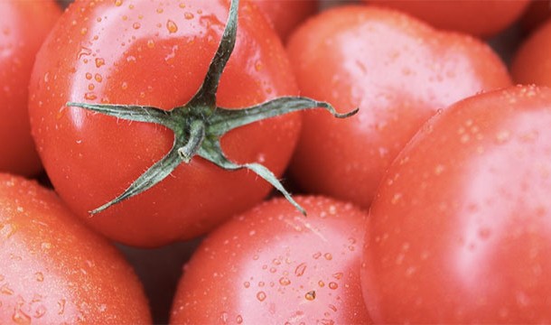 Fruit is a term from botany and vegetable is primarily a culinary term. In other words, your grandmother calls a tomato a vegetable…and she is right. A scientist calls a tomato a fruit…and he/she is also right