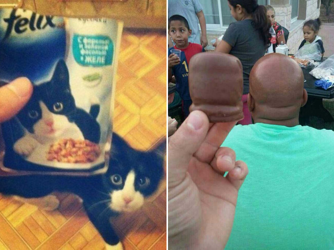 37 Funny Photos That Are Too Perfect To Be A Coincidence