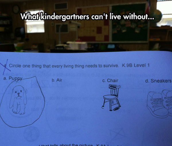design - What kindergartners can't live without... Circle one thing that every living thing needs to survive. K.9B Level 1 a. Puppy b. Air c. Chair d. Sneakers L ole about the picture