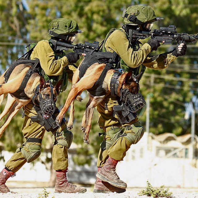 You know you’re a badass when you carry a holstered attack dog