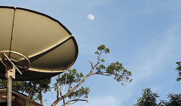 Satellite dishes all face the same direction. This can be used for navigational purposes if you are ever lost.