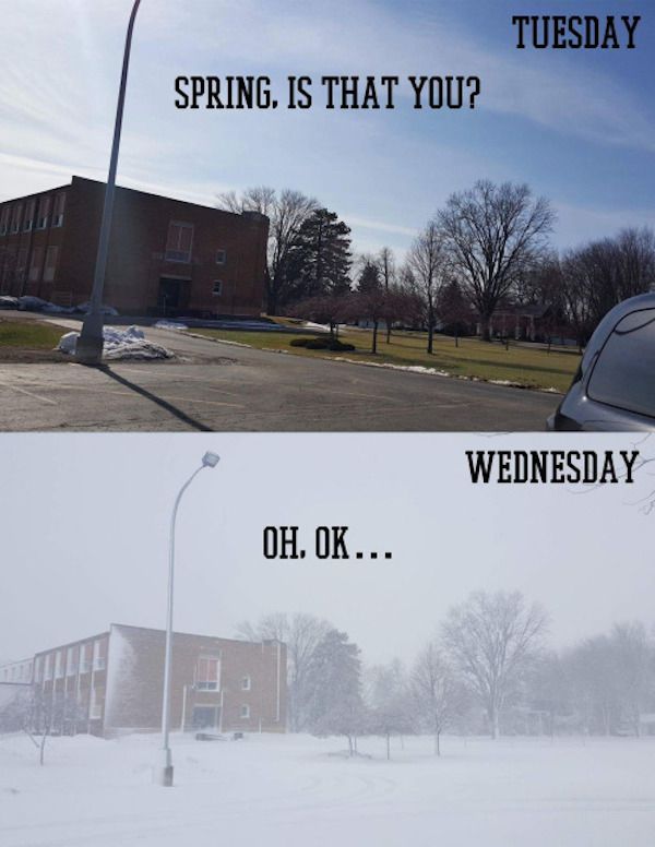 north carolina weather meme - Tuesday Spring. Is That You? Wednesday Oh. Ok...