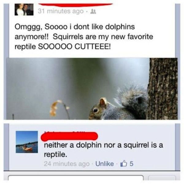 dumb people on the internet - 31 minutes ago. Omggg, Soooo i dont dolphins anymore!! Squirrels are my new favorite reptile SOO000 Cutteee! neither a dolphin nor a squirrel is a reptile. 24 minutes ago Un 5