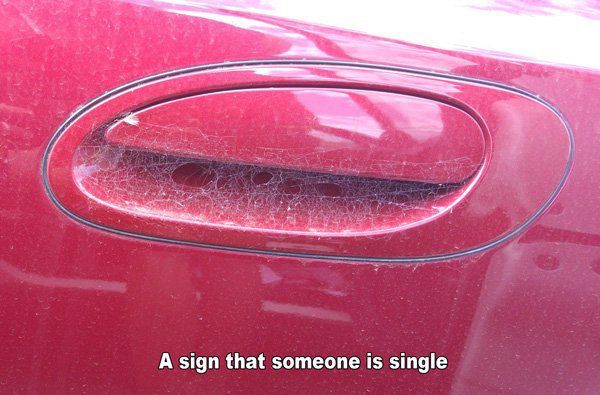 single jokes - A sign that someone is single