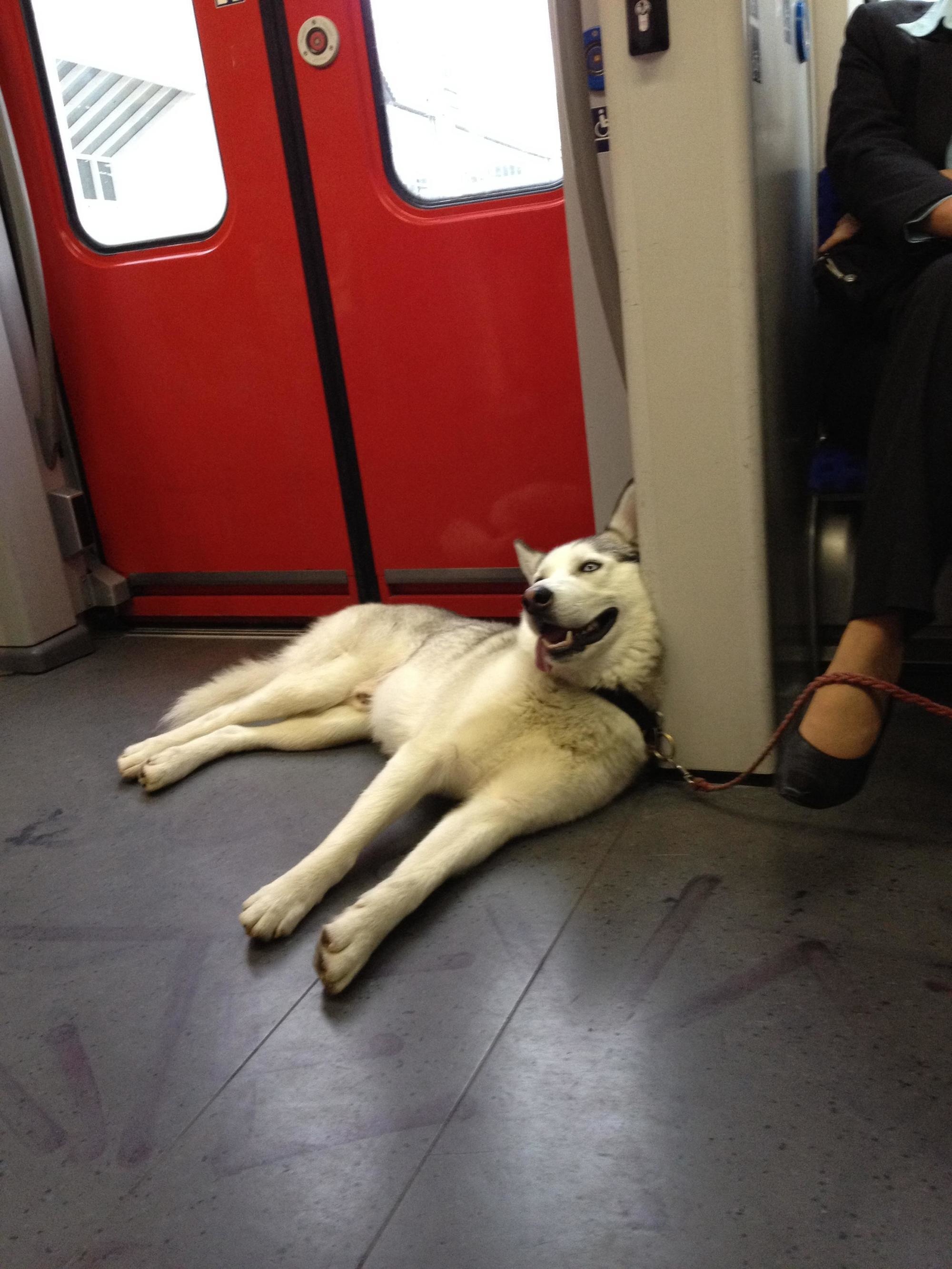 The Weirdest Things That Ever Happened On Public Transport