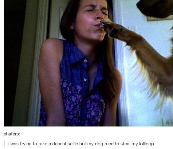 24 Pictures That Prove Animals Are Complete Jerks