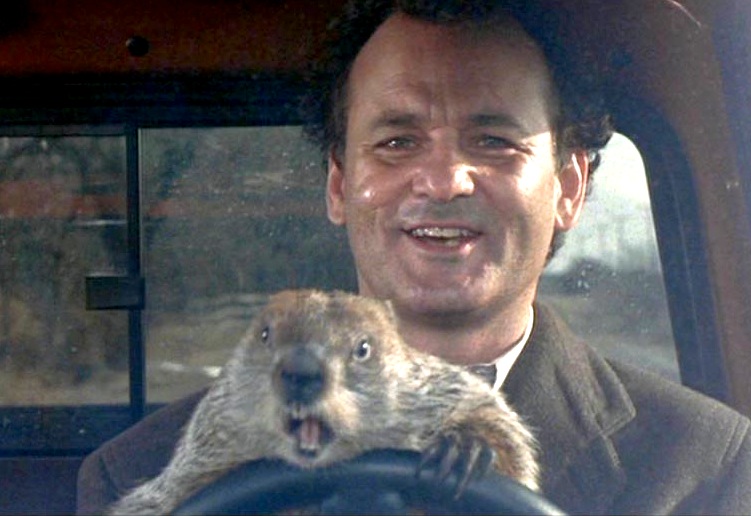 Bill Murray considers Groundhog Day the movie he was born to make and probably the best work that he has done. Before that movie he was seen largely as a clown. After it, he was a complex actor with range.