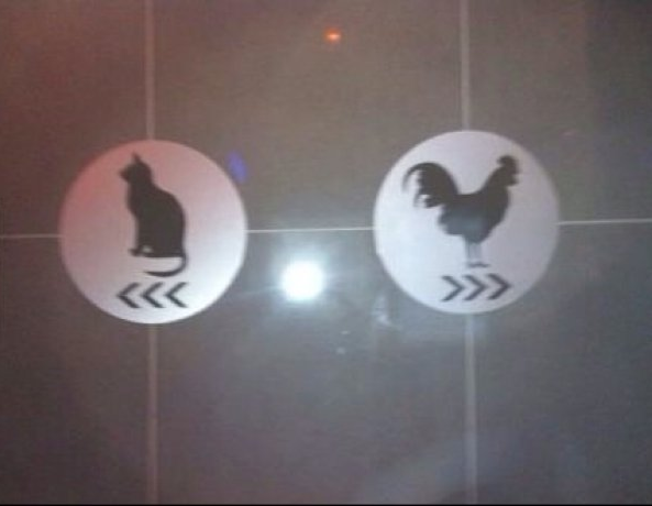 cock and pussy bathroom sign