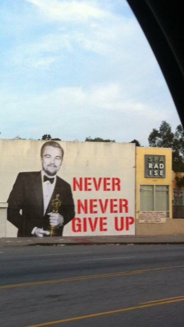 never never never give up leonardo dicaprio - Spa Rad Ise Never Never Give Up