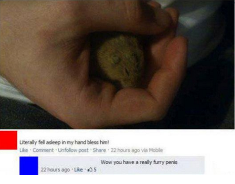 30 burns and roasts that were just the right amount of savage