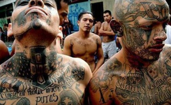 El Salvador's most famous criminal organization is MS-13, the sprawling network of drugs and violence that started with immigrants in Los Angeles and spread all over the Western hemisphere. If you're a member of MS-13 in El Salvador and you get arrested, hope to high heaven that you wind up in Penas Ciudad Barrios. Located in San Salvador, the population inside is entirely gang members, who run the prison like a city. A regiment of soldiers is positioned outside the prison walls to ensure that the maximum security inmates don't get any ideas, but inside it's a criminal free-for-all. There are no guards -- all rules and laws come from MS-13 leadership, not the government.