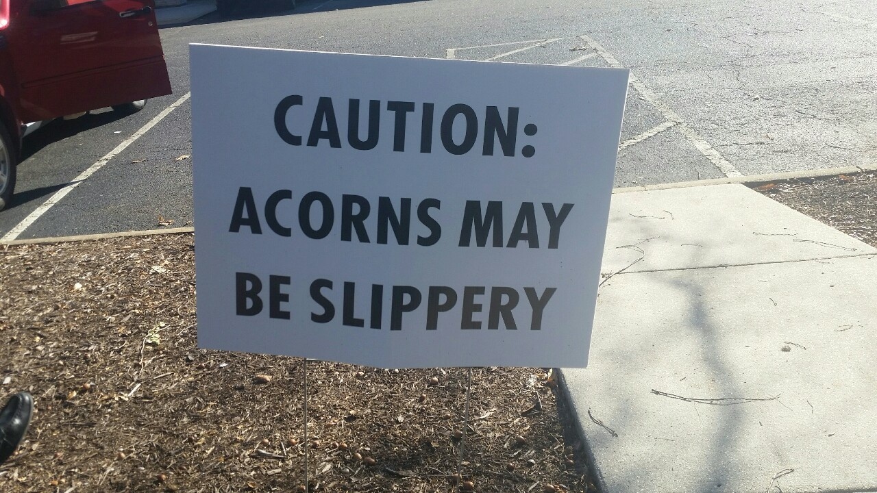 25 Funny Signs That Will Make You Laugh