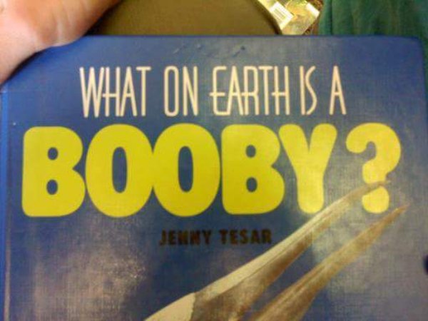 vehicle registration plate - What On Earth Is A Booby? Jenny Tesar