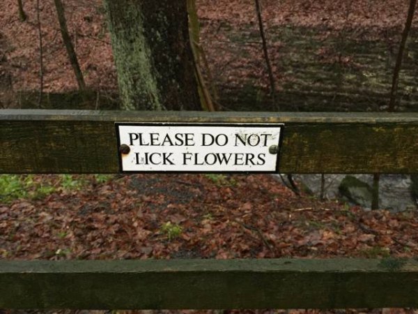 40 Signs that are too strange to comprehend