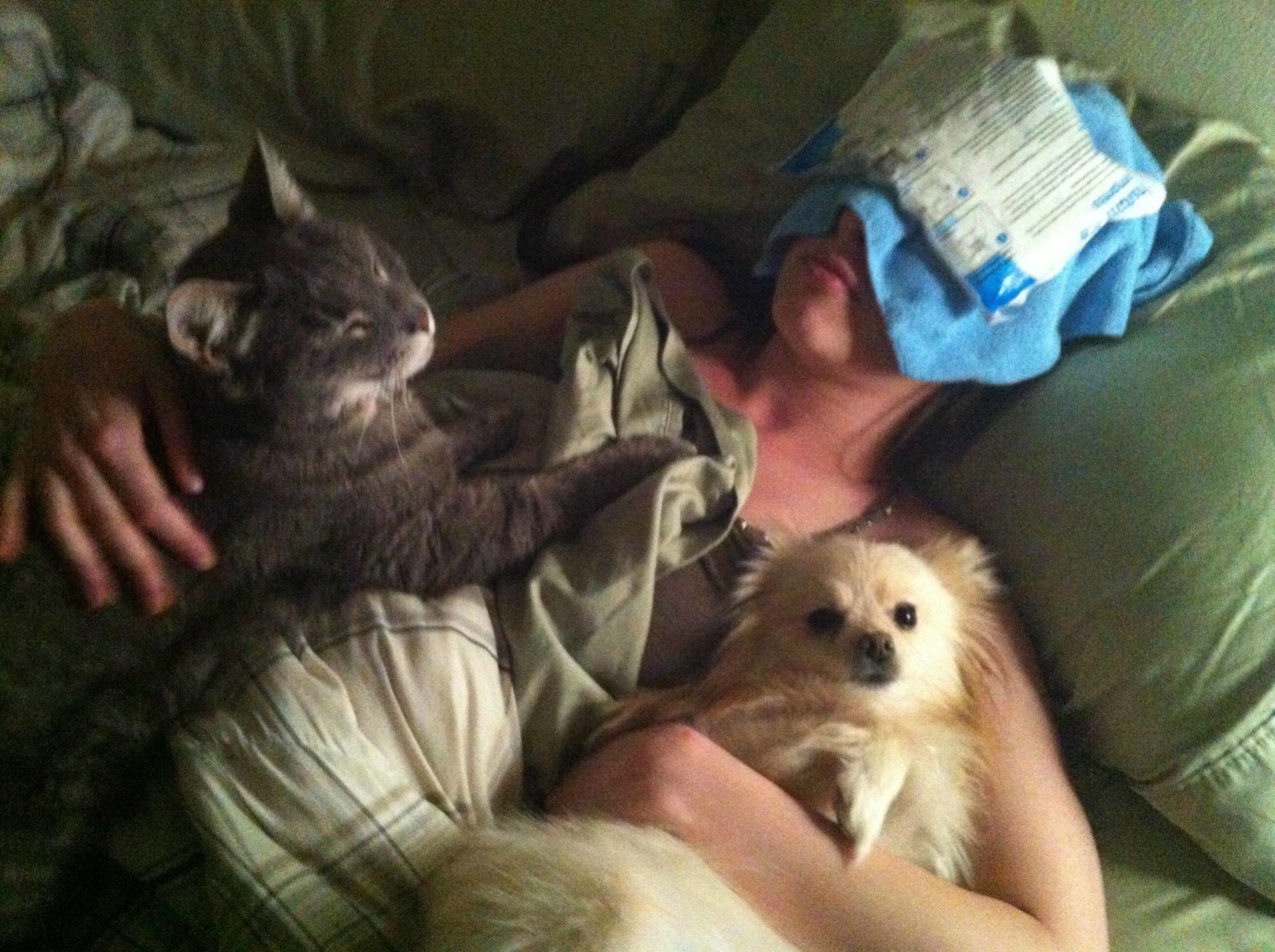 "I had a headache last night so my boyfriend tucked me in. I found this photo on my phone tonight while syncing it."