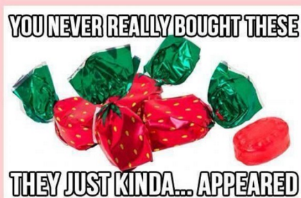 15 Hilarious Picture Captions That Are Incredibly Accurate